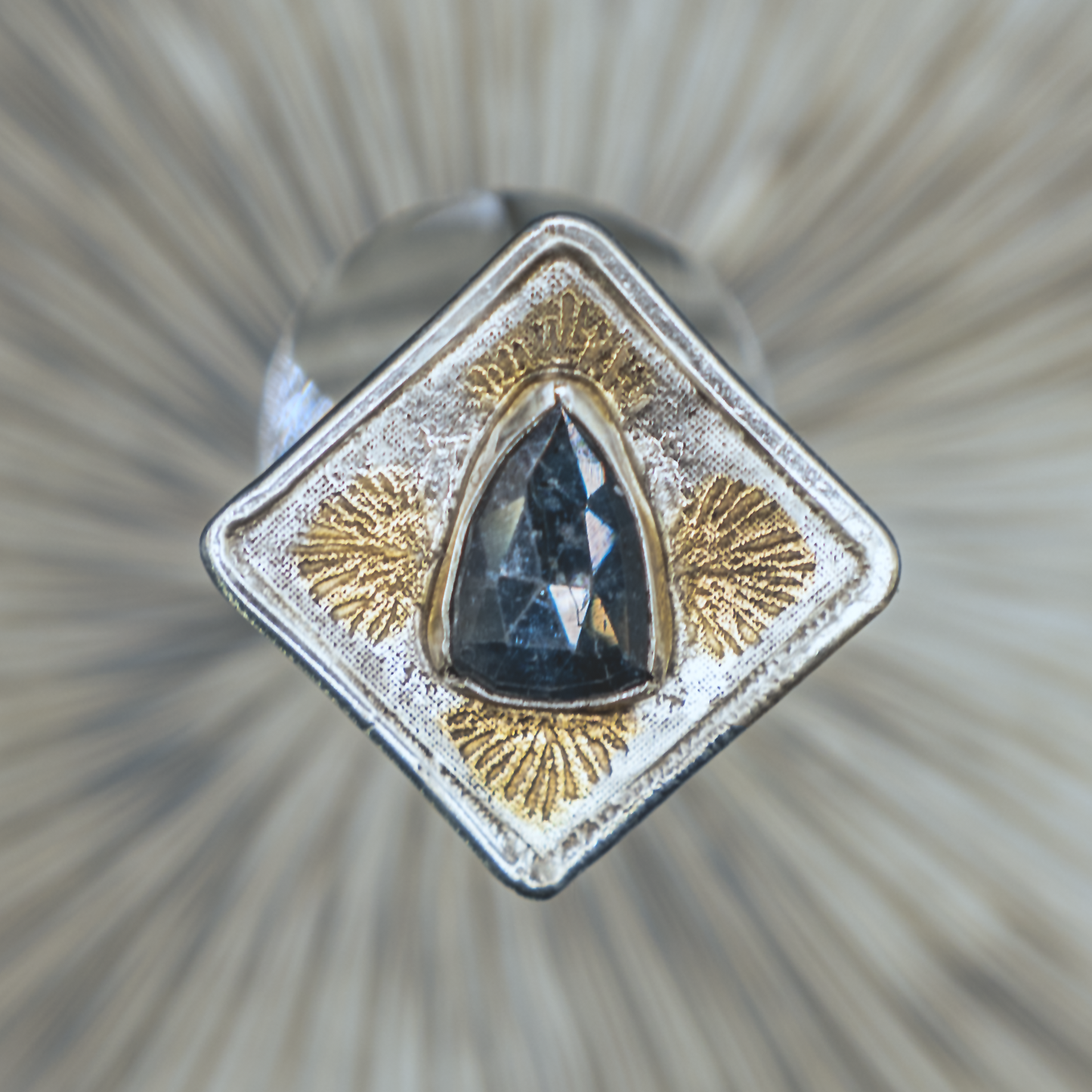 Anenome Bloom Ring I - Kyanite, Silver, and Gold Modern Nouveau Ring