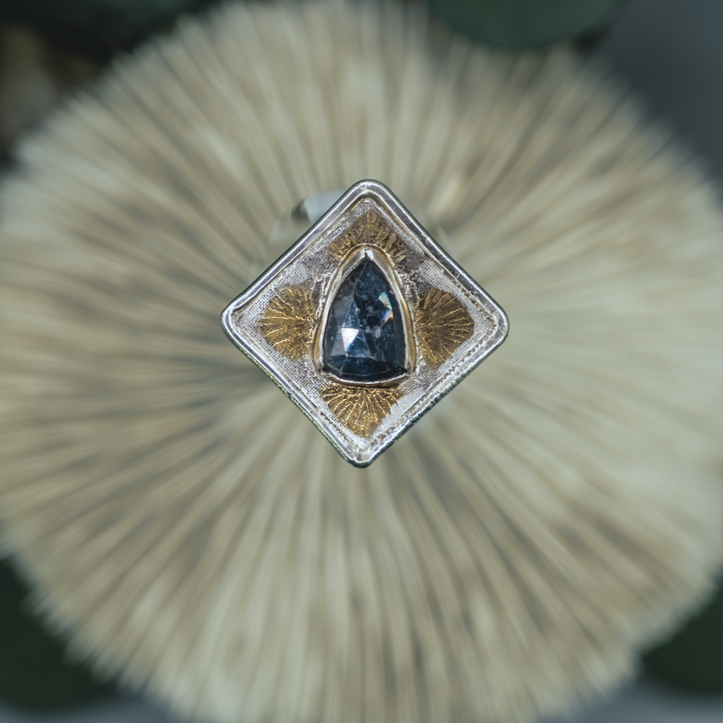 Anenome Bloom Ring I - Kyanite, Silver, and Gold Modern Nouveau Ring
