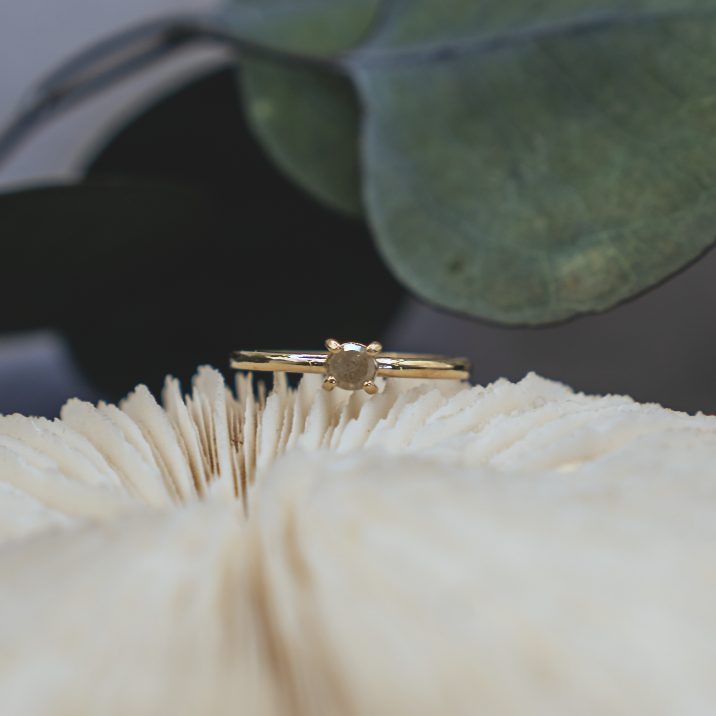 Fine Rustic Diamond Ring VI - 14K Gold & Rustic Diamond