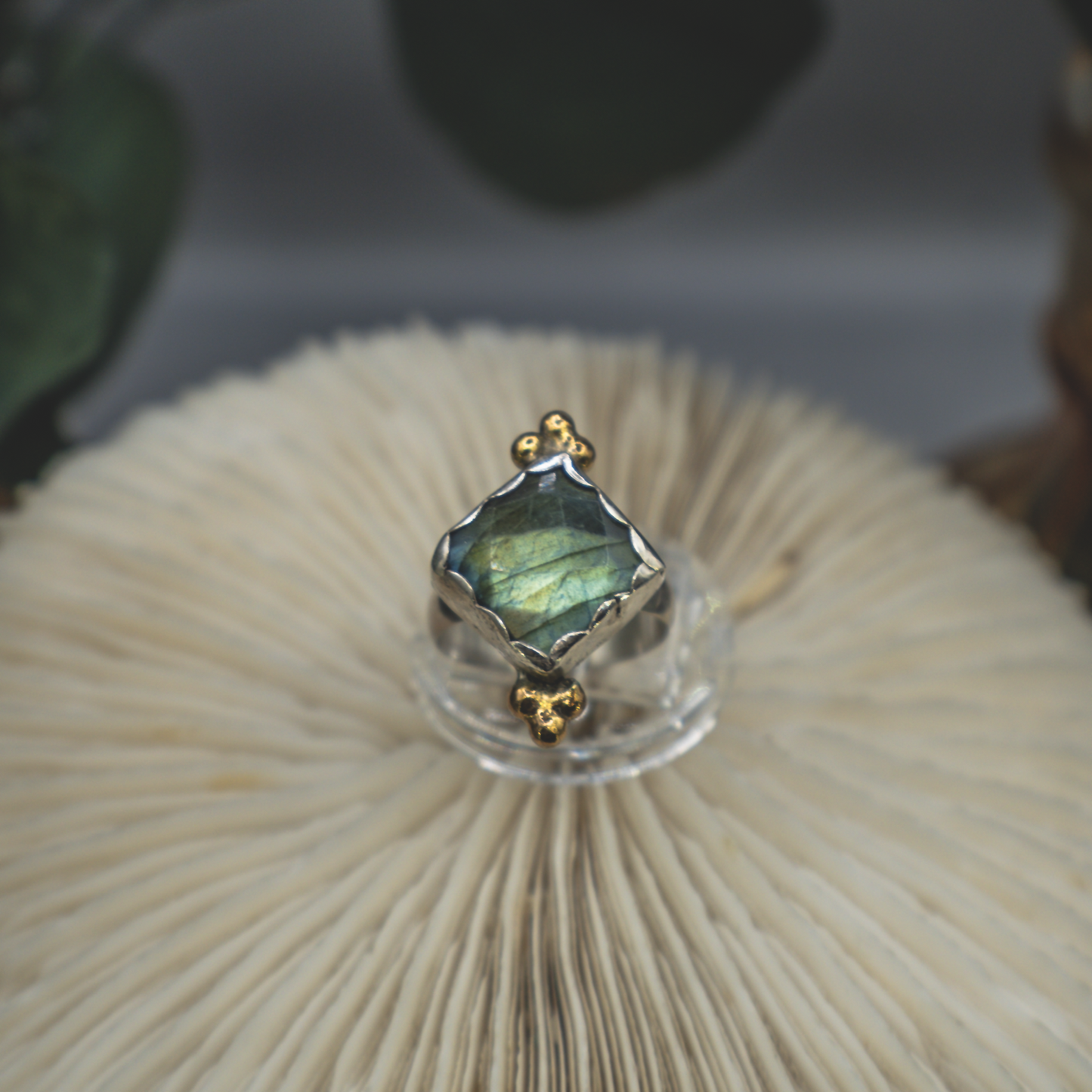 Aurora Ring II - Labrodorite Ring in Sterling Silver and Brushed Gold