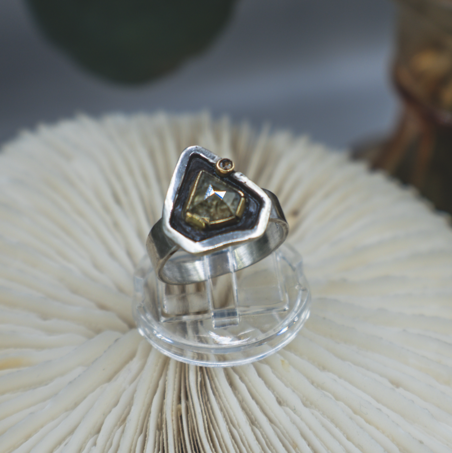 Reliquary Ring IV - Rustic and Fine Diamond, 18K Gold and Sterling Silver Ring