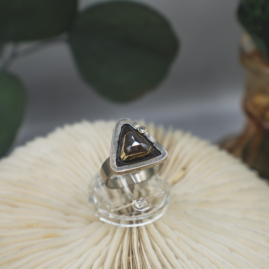Reliquary Ring II - Rustic and Fine Diamond, 18K Gold and Sterling Silver Ring