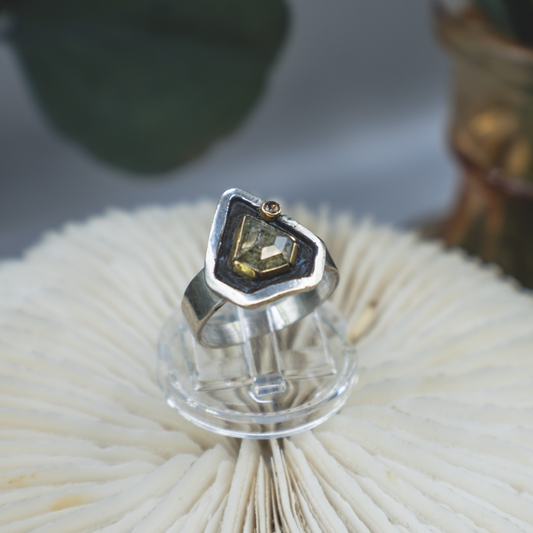Reliquary Ring IV - Rustic and Fine Diamond, 18K Gold and Sterling Silver Ring